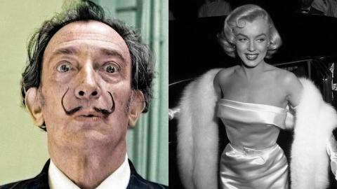 MSN Feature Image - 2025-08-05T113617.110