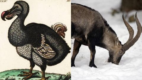 MSN Feature Image - 2025-08-05T163721.509