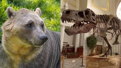 MSN Feature Image - 2025-08-07T164006.321