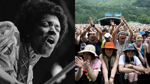 MSN Feature Image - 2025-08-12T170616.737