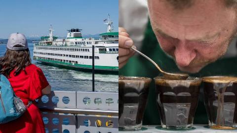 MSN Feature Image - 2025-08-13T164054.681