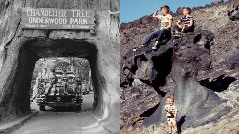 MSN Feature Image - 2025-08-13T165617.243