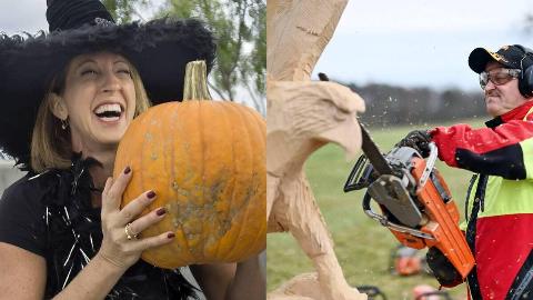 MSN Feature Image - 2025-08-14T160141.851