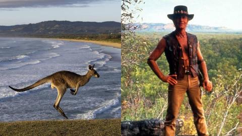 MSN Feature Image - 2025-08-15T145920.838