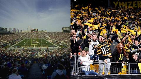 MSN Feature Image - 2025-08-18T152629.062