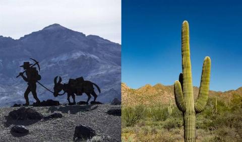 MSN Syn - 2025-08-19T131407.878