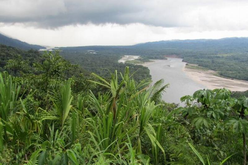 The Long Stage of the Jungle Ultra.