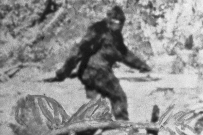Alleged Photo of Bigfoot