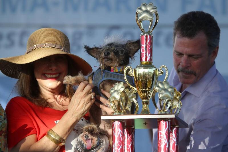 Annual Ugliest Dog Competition Held In Petaluma, California