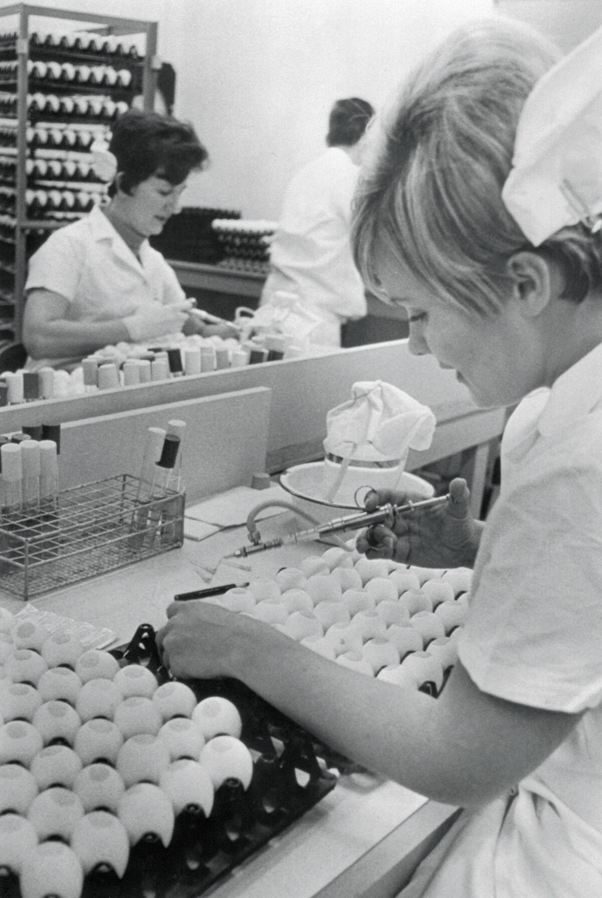 Assistant Inoculating Eggs with Influenza Vaccine