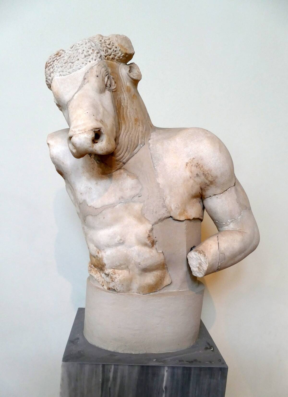 Bust of the Minotaur.