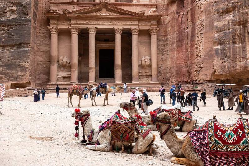 Camels seen in front of The Treasury in Petra, a famous...