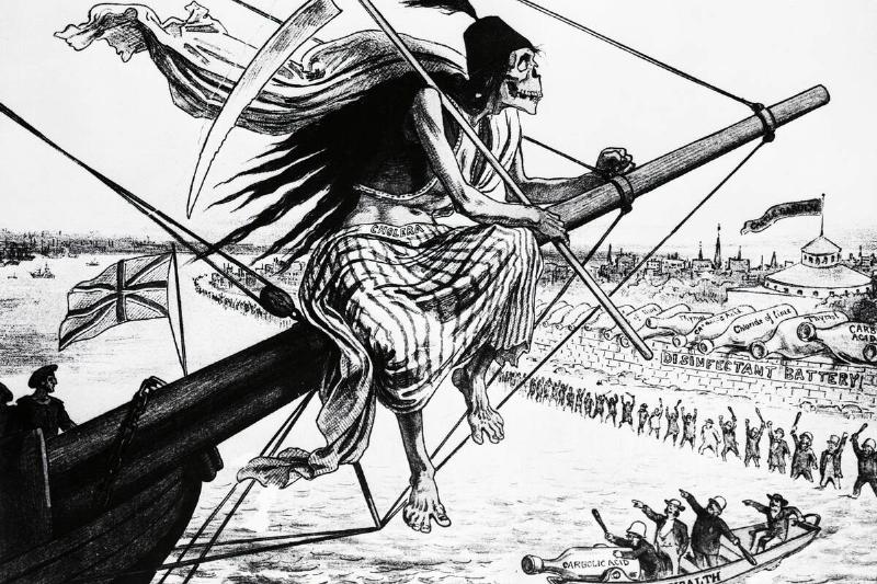 Cholera Pandemic Cartoon, 1883