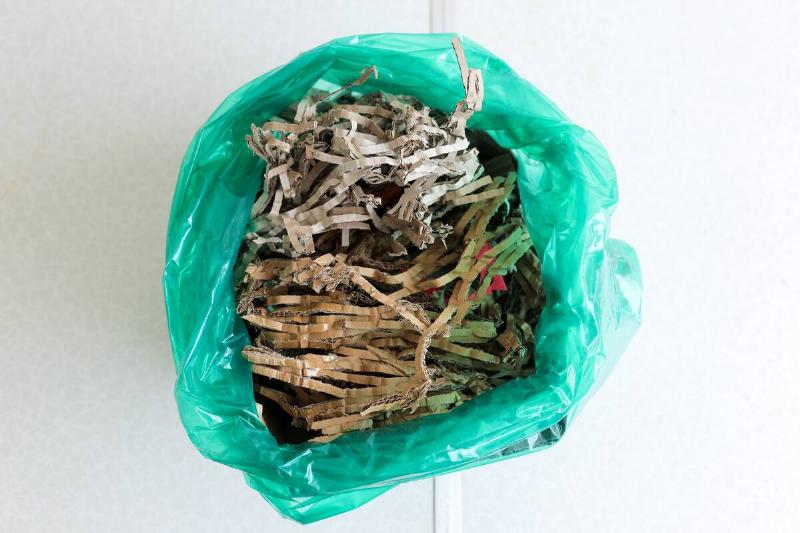 Plastic bag with wasp nest inside.