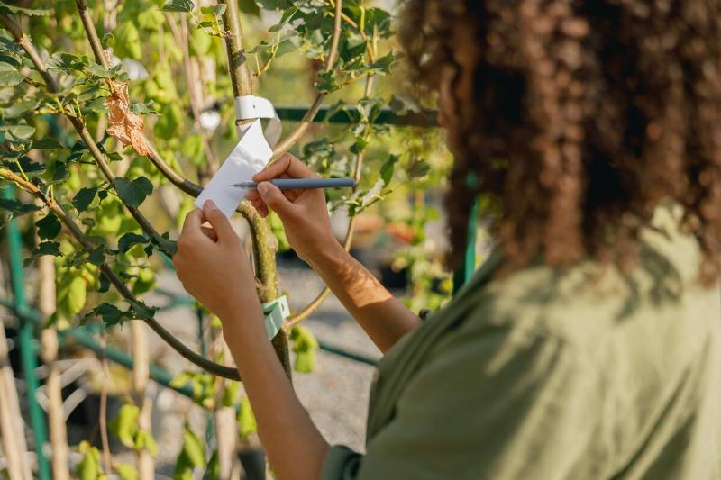 Woman writing on plant sticker. 