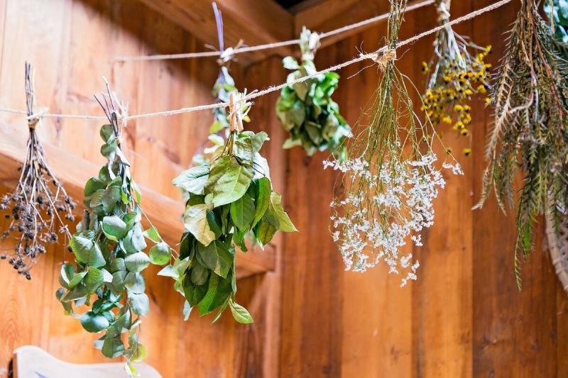 Flowers and herbs hanging upside down on clothesline to dry. 