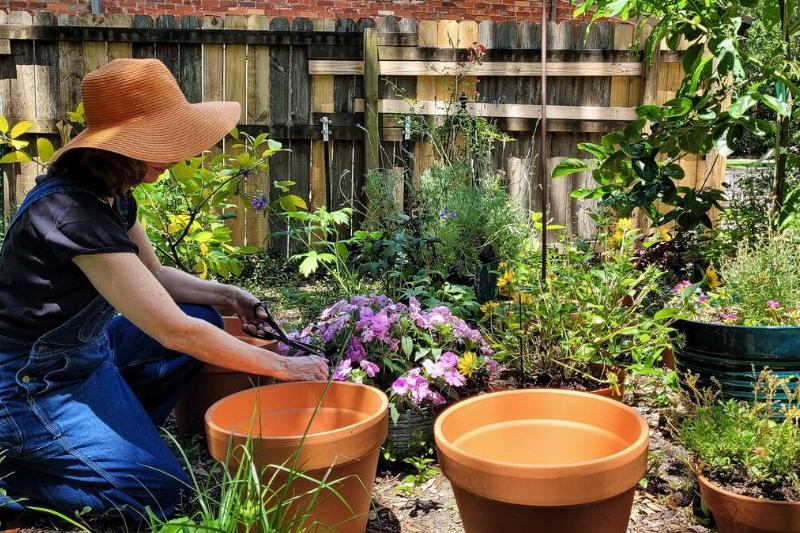 Woman planting plants in pots.