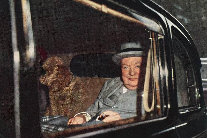 EDITORIAL Winston Churchill, seen here with his pet poodle Rufus II