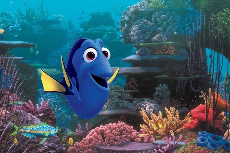 finding-dory_45whxs