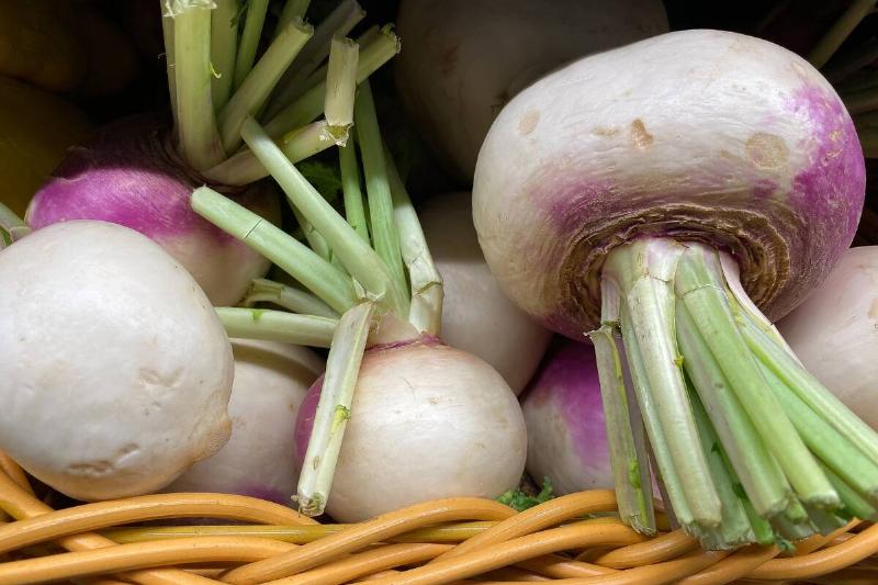 Fresh turnips in a basket.
