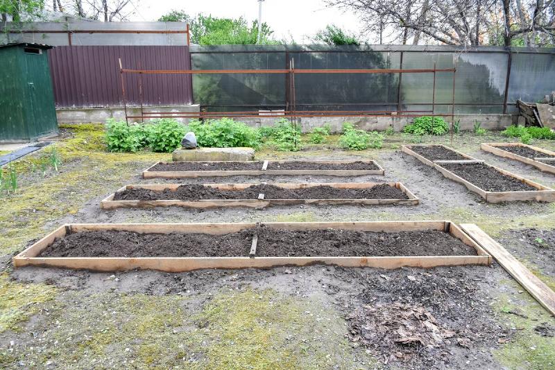 Empty garden beds.