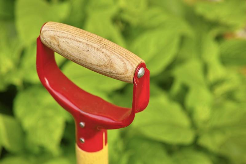 Wooden handle of gardening tool. 