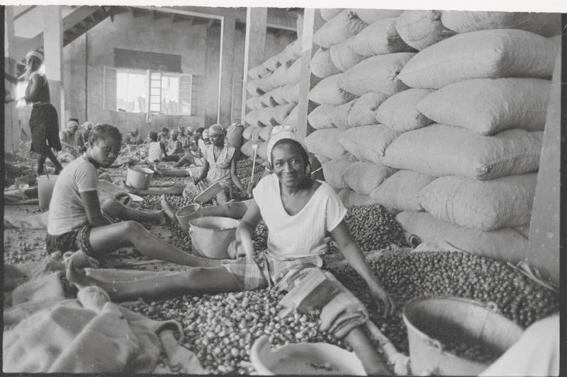 Grenadan Women Working in Factory