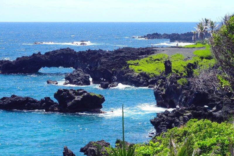 hana-800x600-1-44498