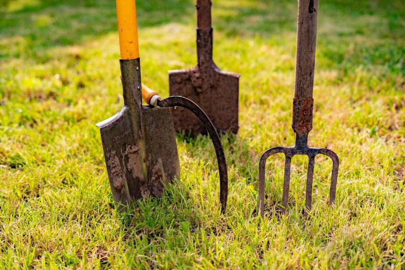 Rusty shovel and pitchfork into the ground in the garden.