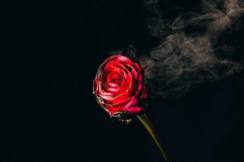 jakob-rosen-VMXPwlsgrms-unsplash