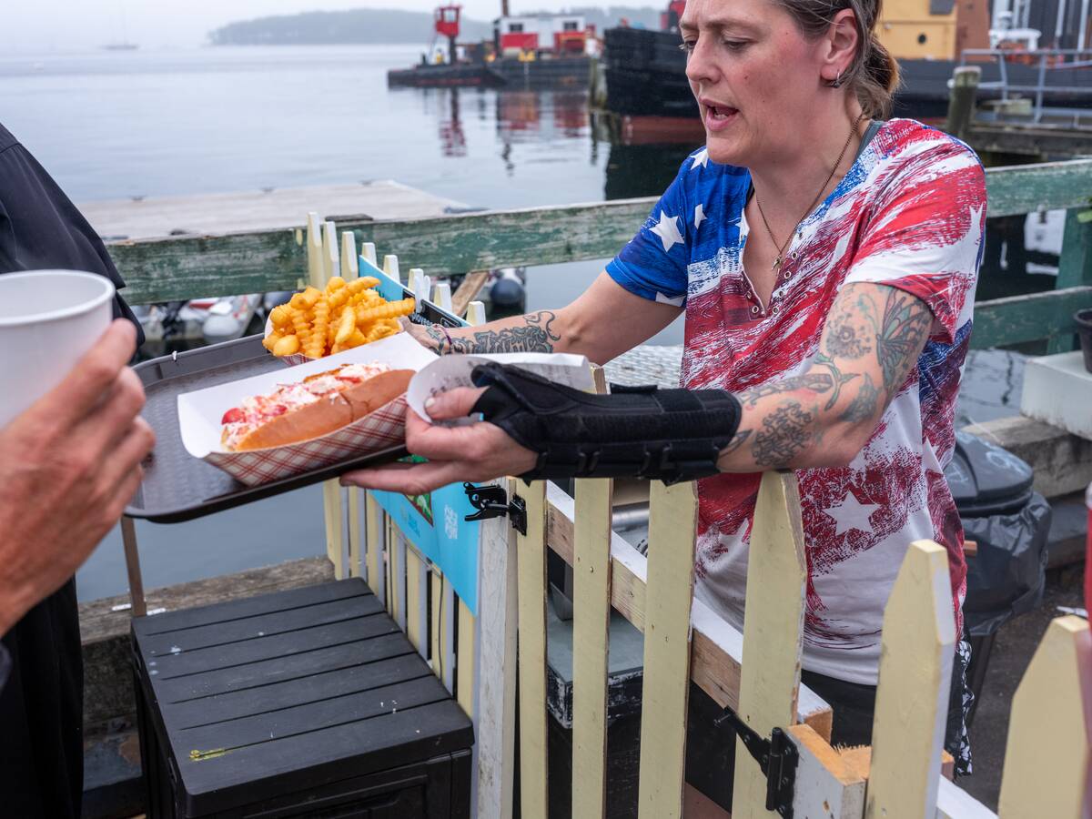 Lobster Rolls In Castine, Maine