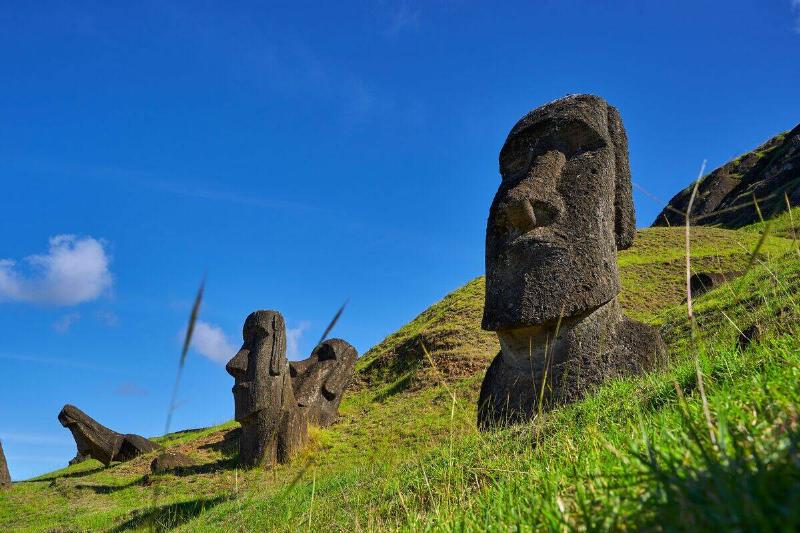 The Moai stone monolithic statues with blue sky in the background Easter Island.