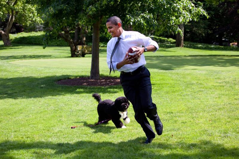 Obama On The South Lawn