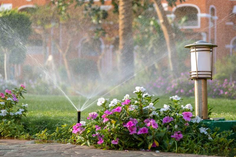 Sprinkler spraying water on lawn and flowers. 