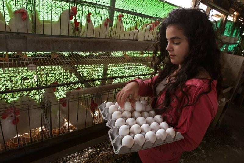 Rising Agricultural Costs Force Food Prices Higher