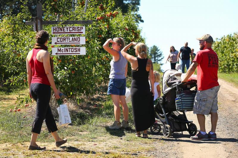Russell Orchards In Ipswich, Mass