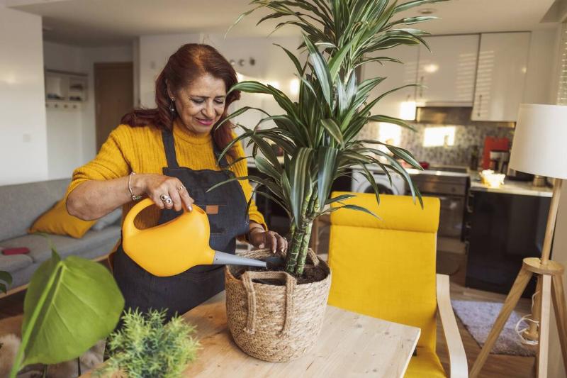 Senior woman gardener at home watering plants