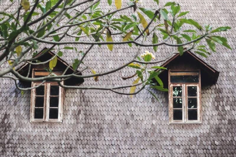 Tree branch in front of roof and windows. 