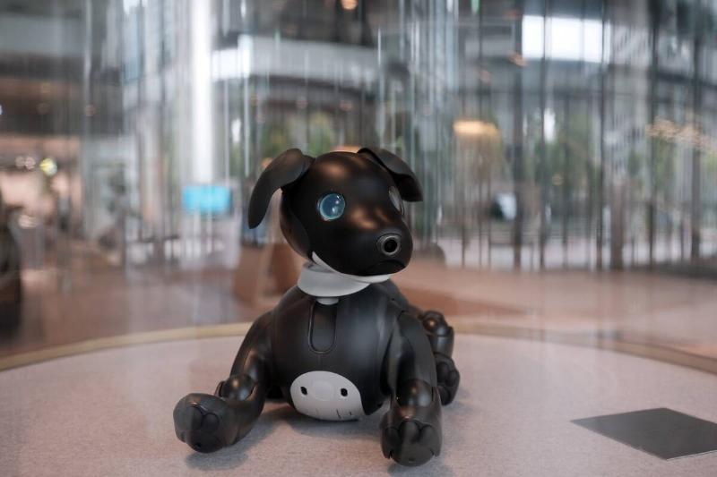 Sony Group Announces Mid-Term Strategy