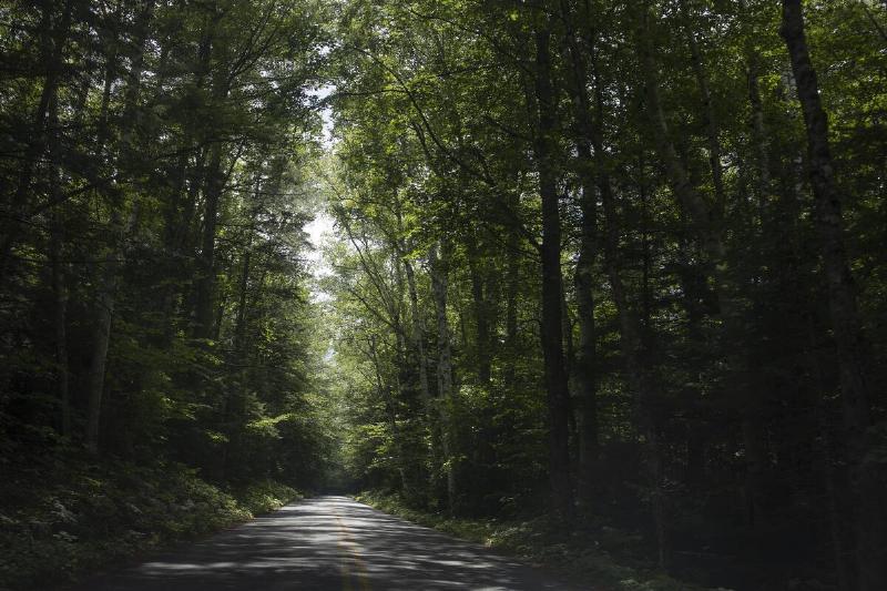 Summer in Maine and New Hampshire White Mountains