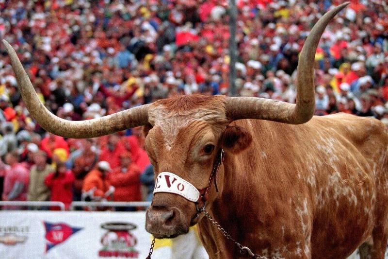 Texas Longhorns mascot Bevo attends the game