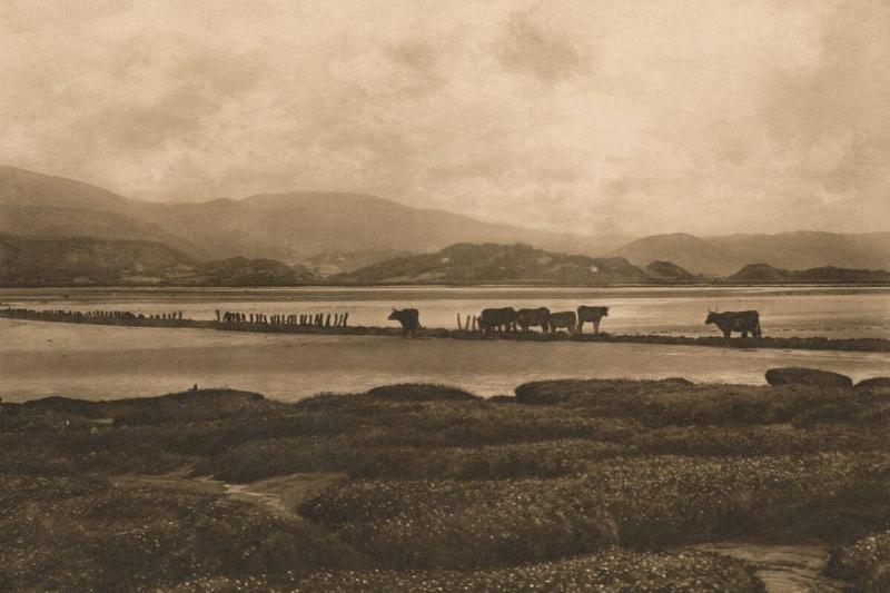 The Dovey At Ynyslas, 1902