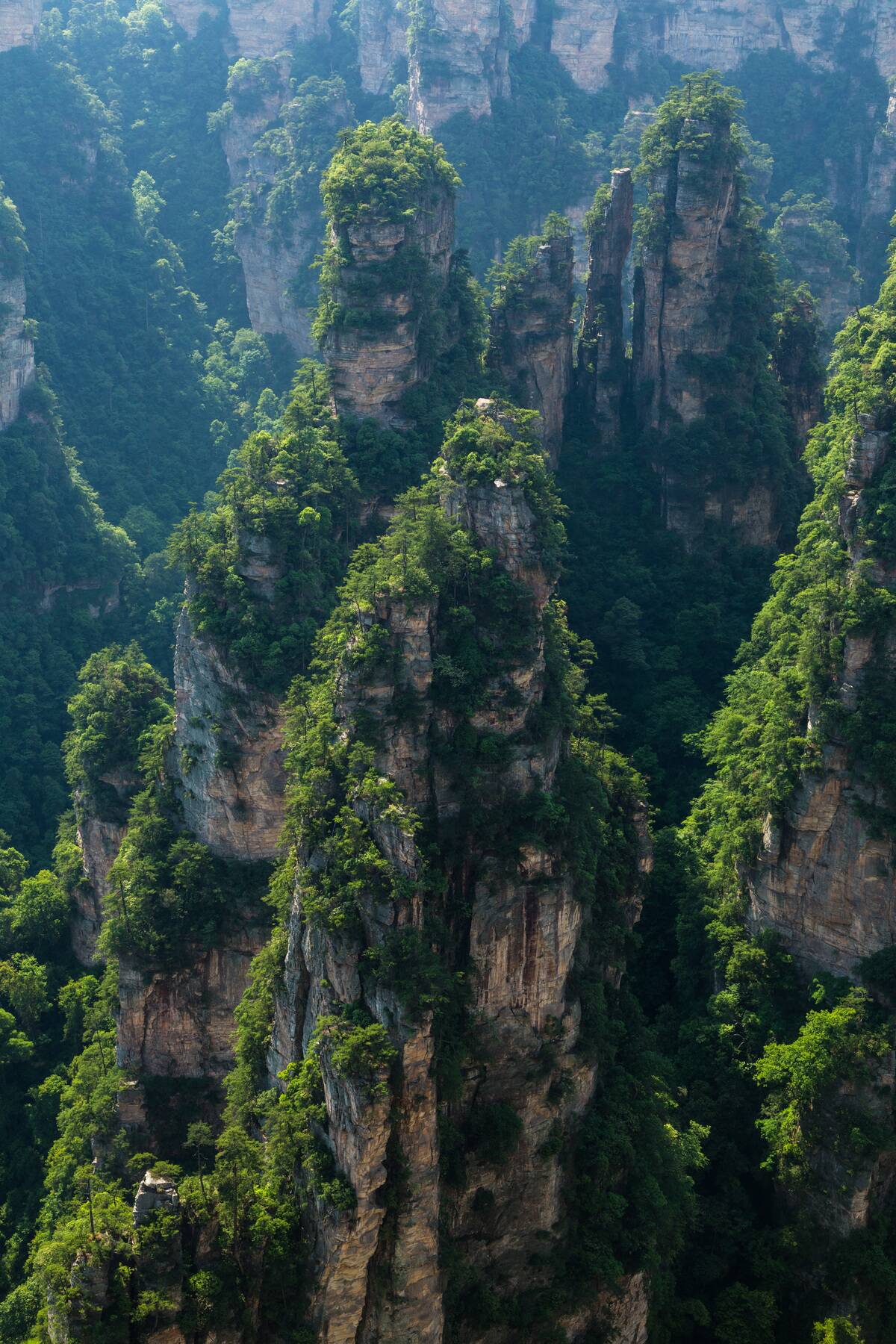 The quartzite sandstone pillars of the Avatar Mountains of Zhangjiajie National Forest Park in China
