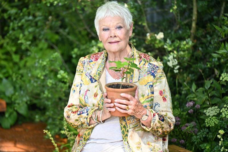 The RHS Chelsea Flower Show - Press Day