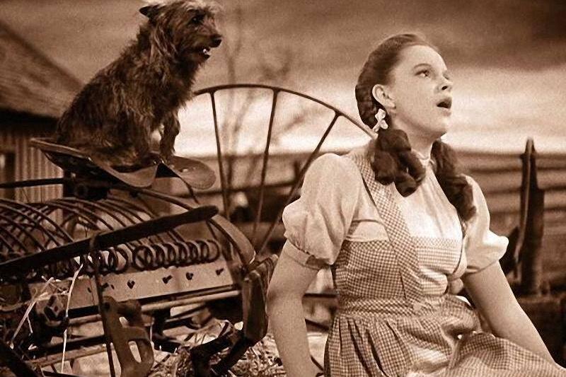 the-wizard-of-oz_0e7b77b9