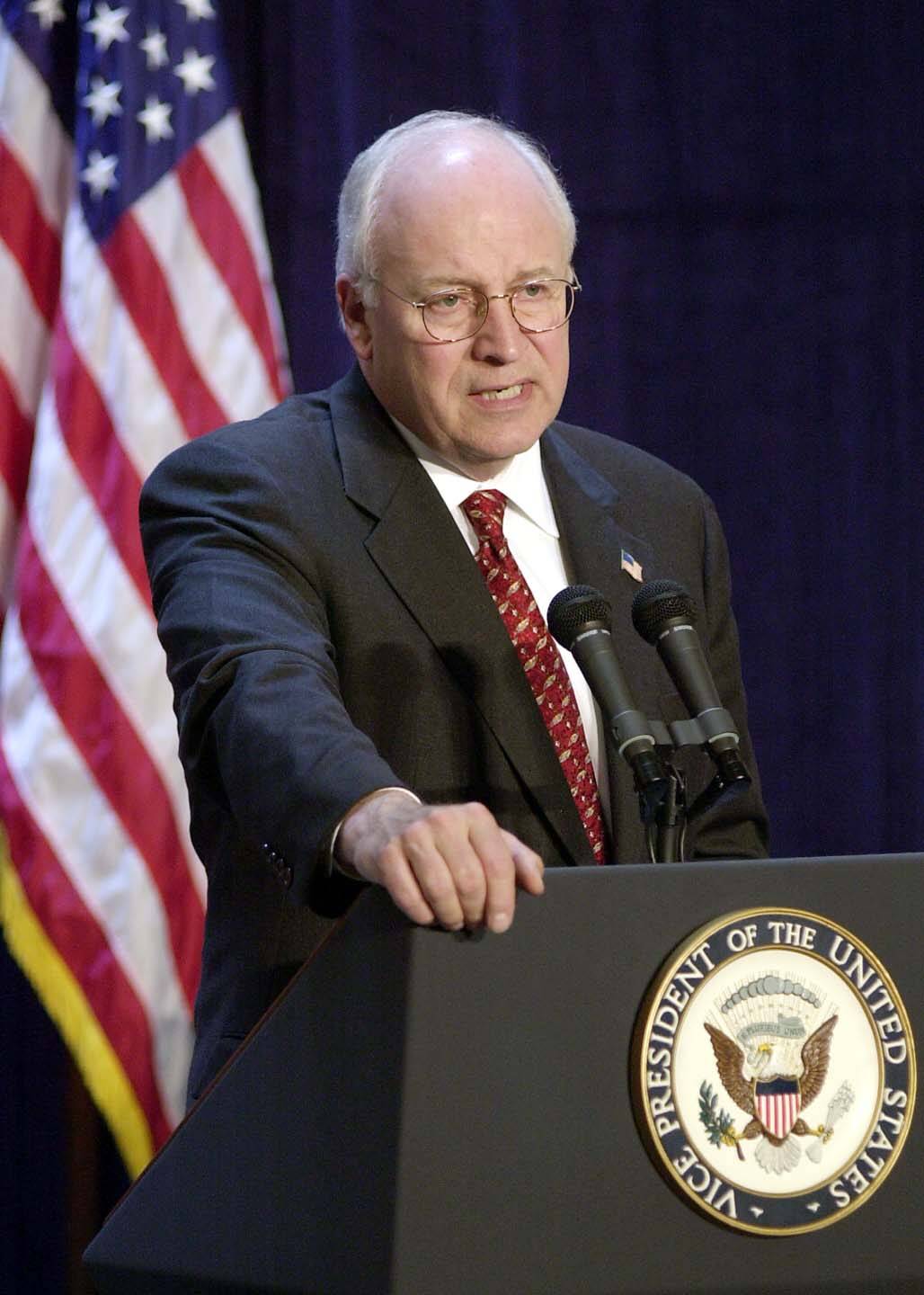 This file photo dated 15 July 2002 shows Vice Pres