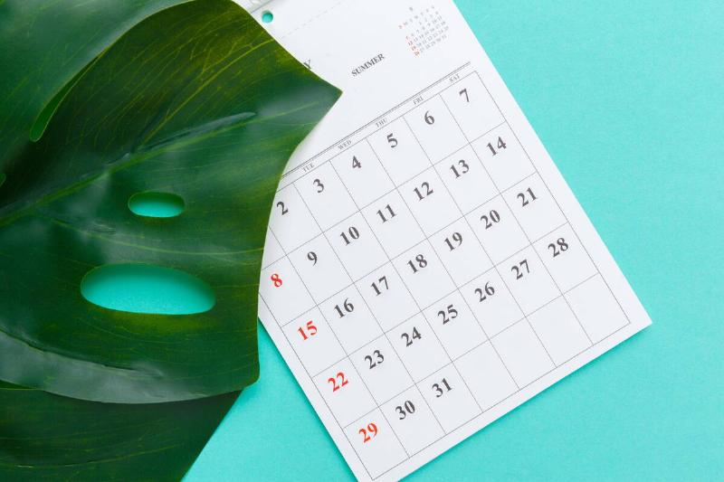 Calendar and plant.