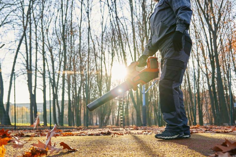 Man blowing leaves with low sun. 