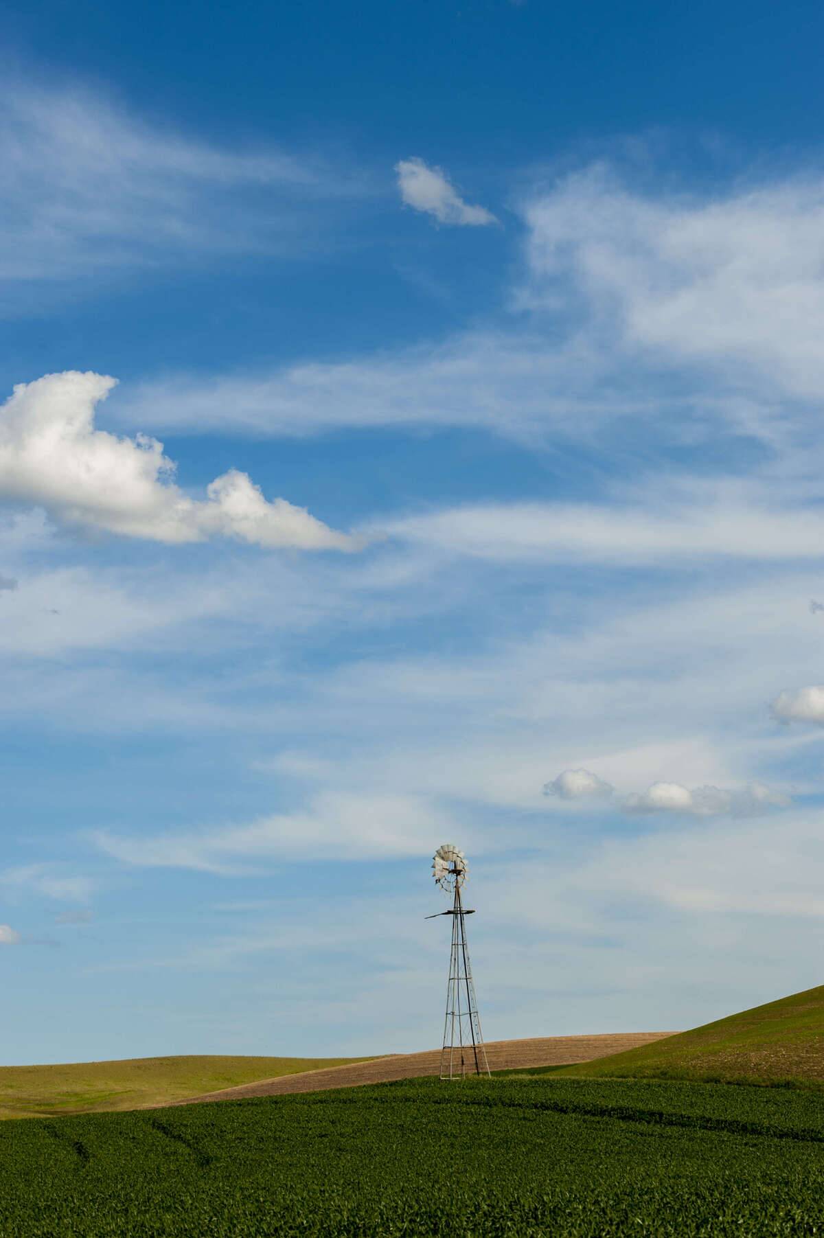 Windmill in fields with blue sky and clouds near Pullman in...