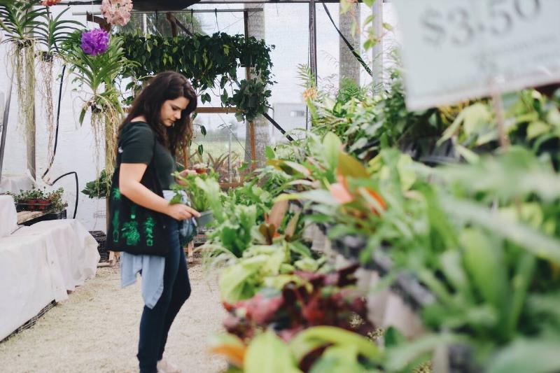 Woman shopping in garden center. 